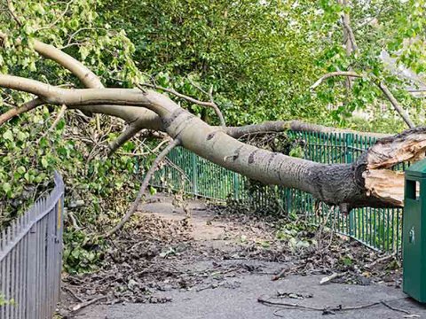 Schade voorkomen: 10 tips om je voor te bereiden op storm