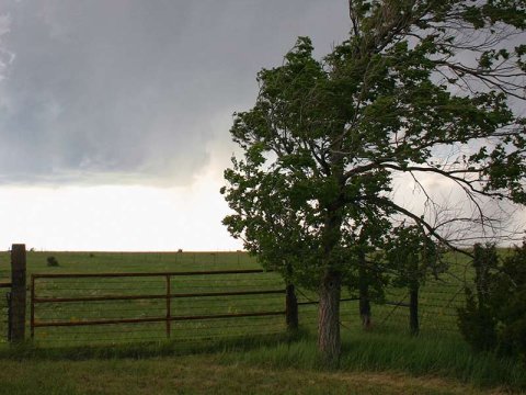 Stormschade schutting: alles wat je moet weten