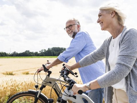 Rondje Nederland: dit zijn de mooiste fietsroutes per provincie